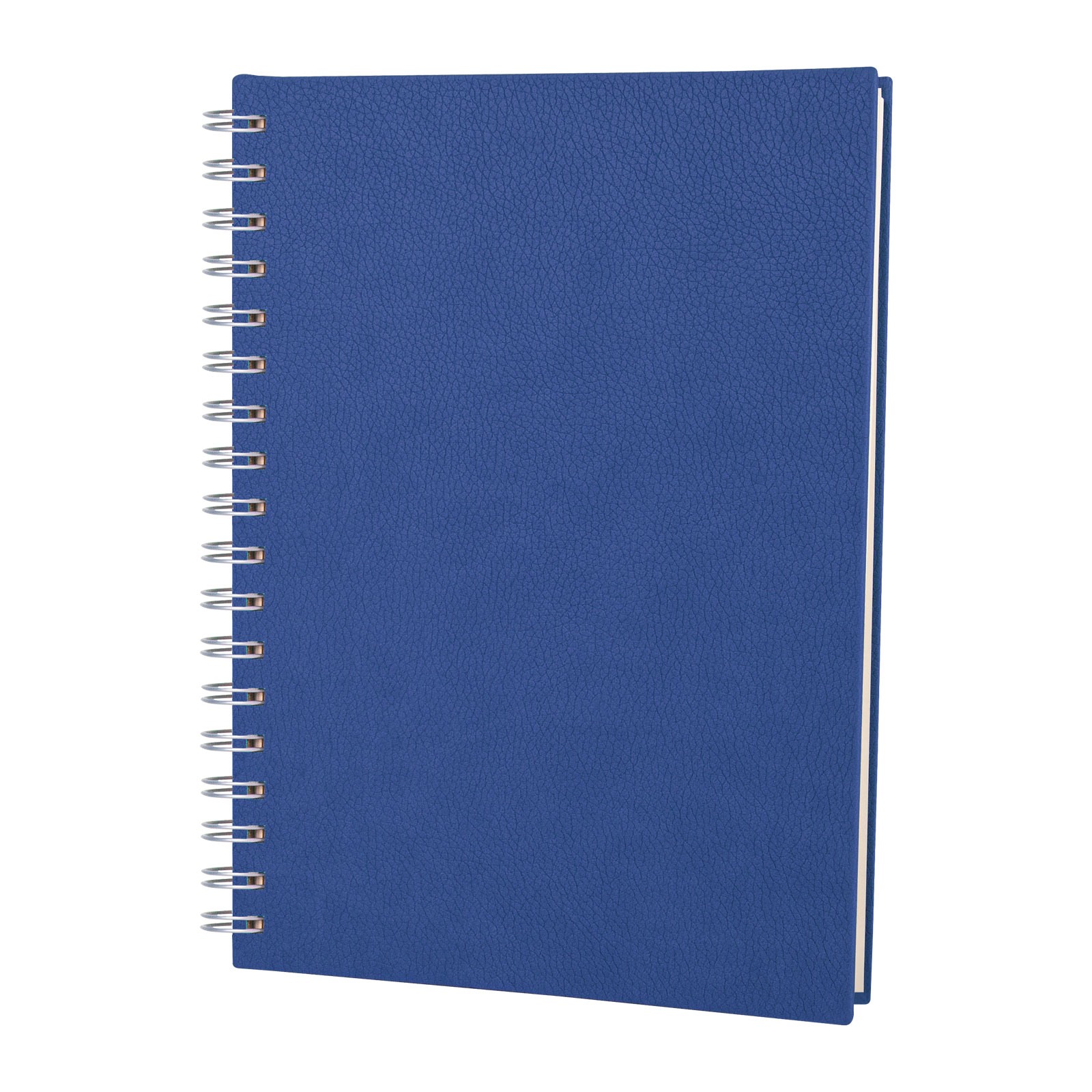 3013 ELMADAĞ TURKUAZ TARİHLİ SPİRALLİ AJANDA (17X24 CM)