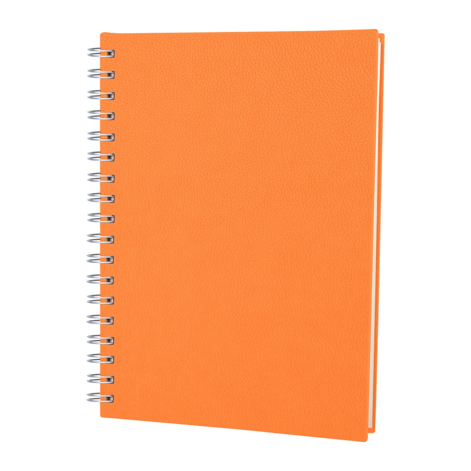 3013 ELMADAĞ TURKUAZ TARİHLİ SPİRALLİ AJANDA (17X24 CM)