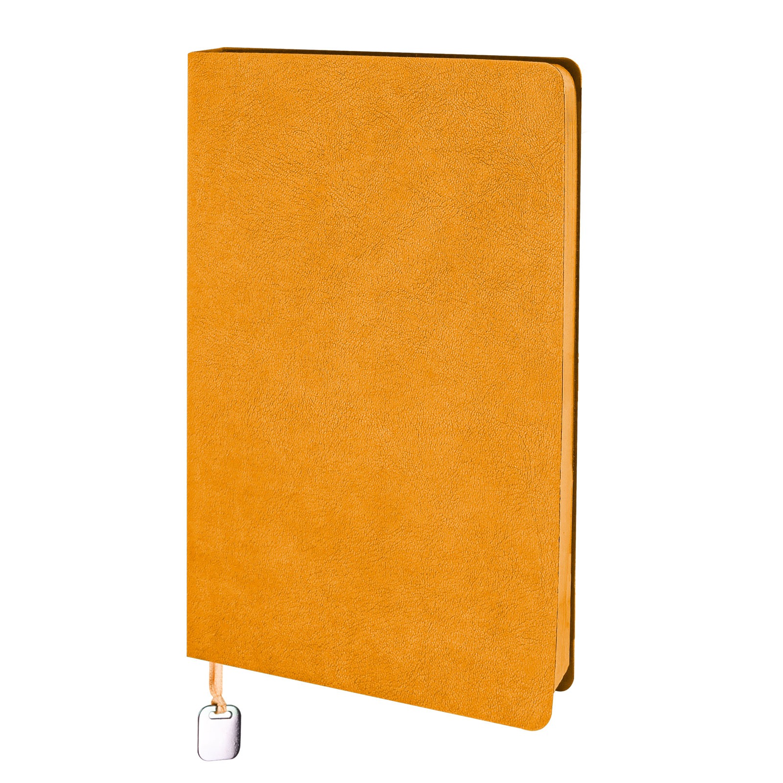3025 MALTEPE TURKUAZ TARİHSİZ DEFTER (13X21 CM)