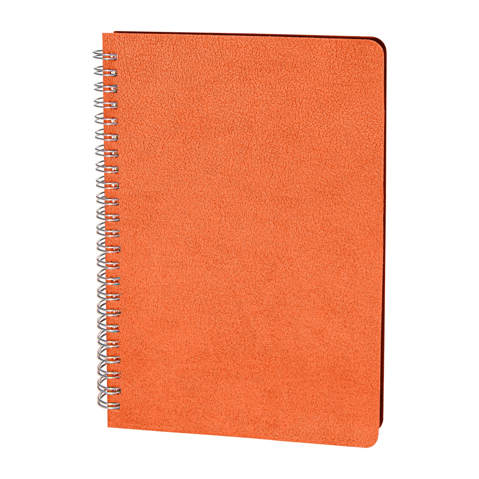 3062 AKYURT TABA SPİRALLİ TARİHSİZ DEFTER (13X21 CM)