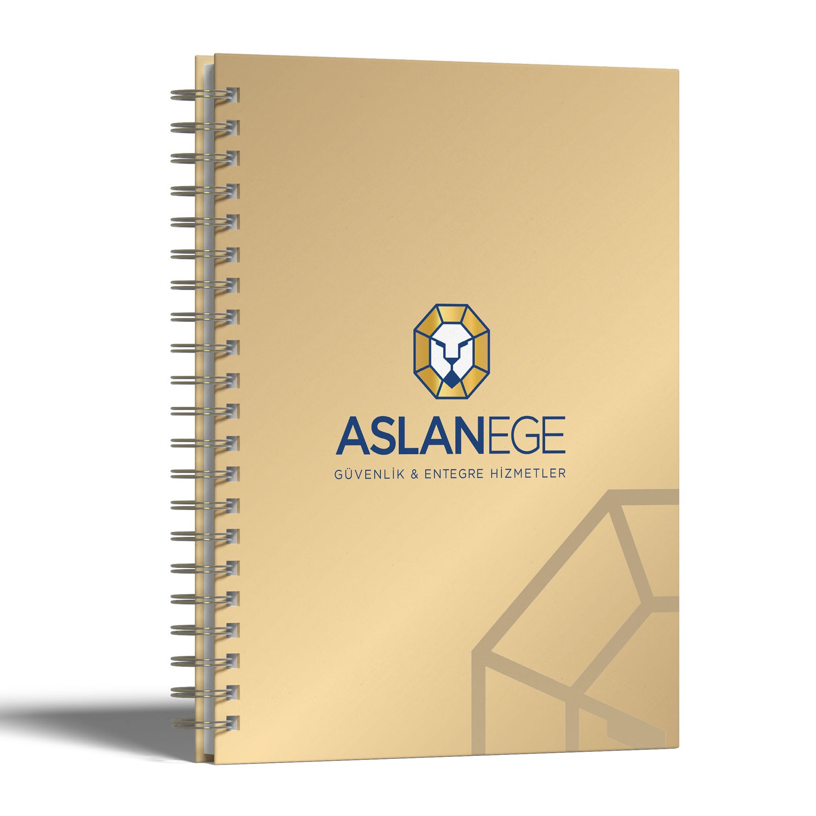 3084-17X24  17X24 CM